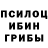 Псилоцибиновые грибы мухоморы Fredrik Thorsen