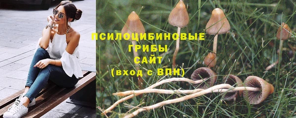 наркотики Гусев