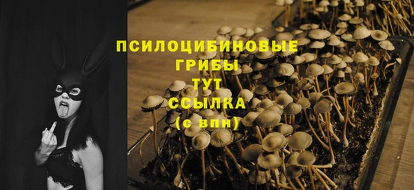 ECSTASY Гусиноозёрск